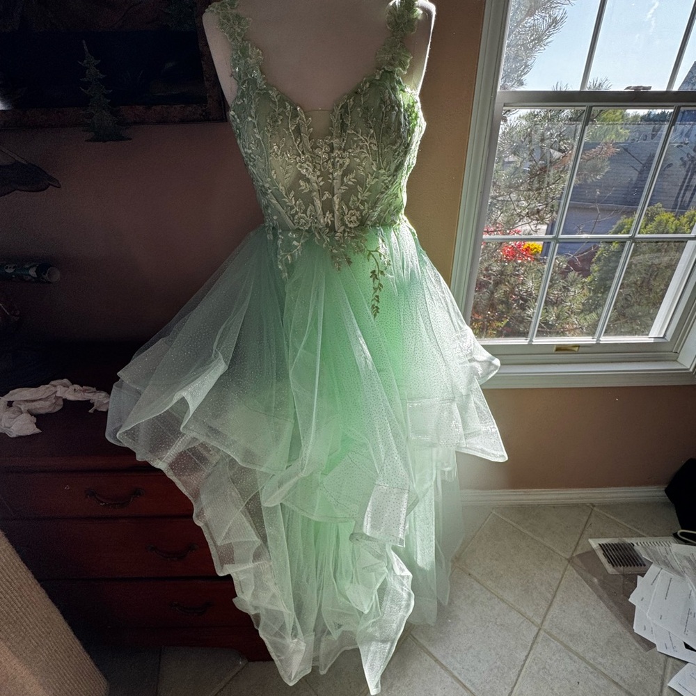 Ethereal Mint Green Lace Gown
